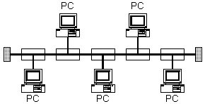 局域网